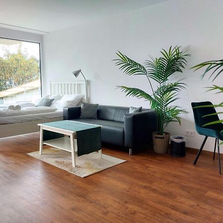 Rooftop Apartments - Modernes Studioapartment Fuer 3 Personen Langenau Buitenkant foto